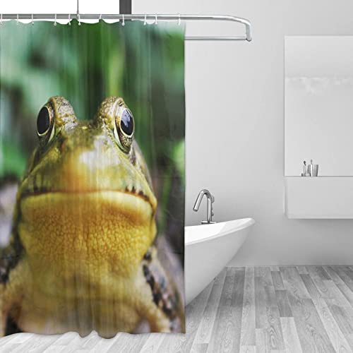 Rideau de douche grenouille imperméable et lavable avec ses 12 crochets - 4