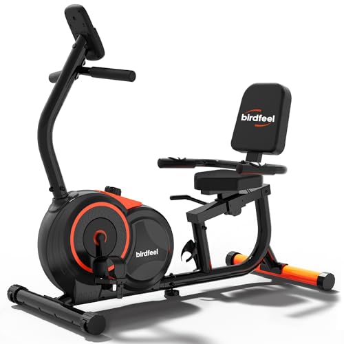 Recumbent Exercise Bike for Home,Recumbent Stationary Bikes for Adults &...