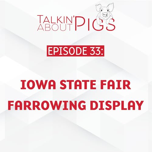 Iowa State Fair Farrowing Display
