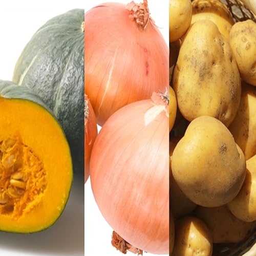 【北海道豊頃町】十勝の秋の味覚 野菜詰め合わせ(南瓜･玉ねぎ･じゃがいも)セット【2025年産】（先行受付）】【工房みみずく】