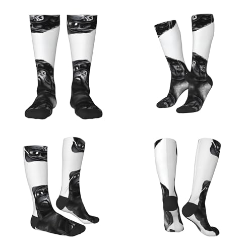 WAFICAC Medias para adultos con estampado de perro carlino negro, diseño moderno de colores contrastantes, ajuste cómodo y elástico para tallas 36-45