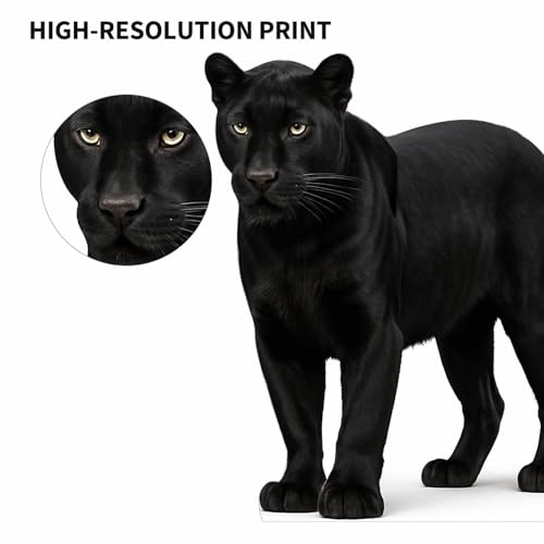Image of Black Panther 2FT Life Size Cardboard Cutout - A Fun Animal Standup for Photo Booths, Birthday Parties, and Events