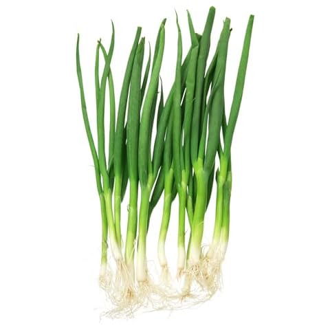 JustSeed Vegetable Seeds - Spring Onion White Lisbon Cover