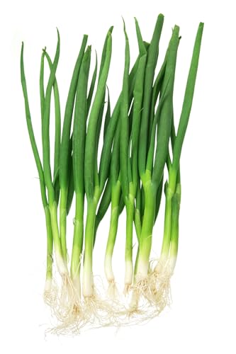 JustSeed - Vegetable - Spring Onion - White Lisbon - 800 Seeds - Economy Pack