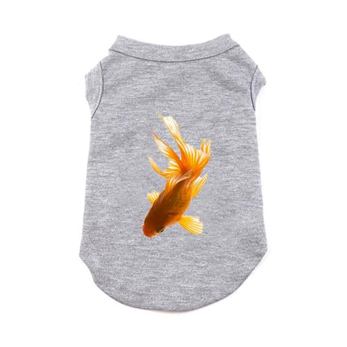 [QINTIW] hbOEFA LbgEFA  t 3XL  ^Ngbv xXg m[X[u Ȃ ^ ^ I[_[Ch ʐ^ t U LOʐ^ H~ L ybgpi O[ ybg