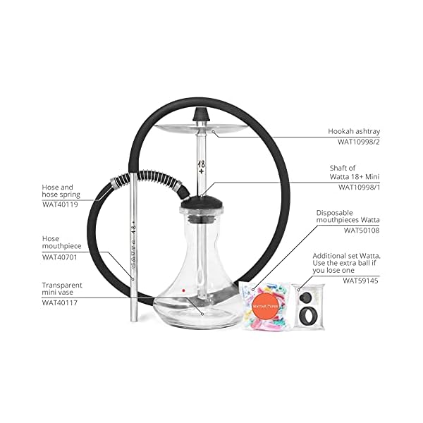 WattaKeeper Shisha Set: Wasserpfeife Komplettset Watta "18+" Mini Edelstahl, Glasbowl, Mundstück, Schläuche, Knickschutzfeder, Dichtungsset, Hygienemundstücke WAT19T19 – Bild 5