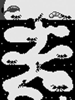 Amazon.co.jp: ant/s life studio : ペット用品