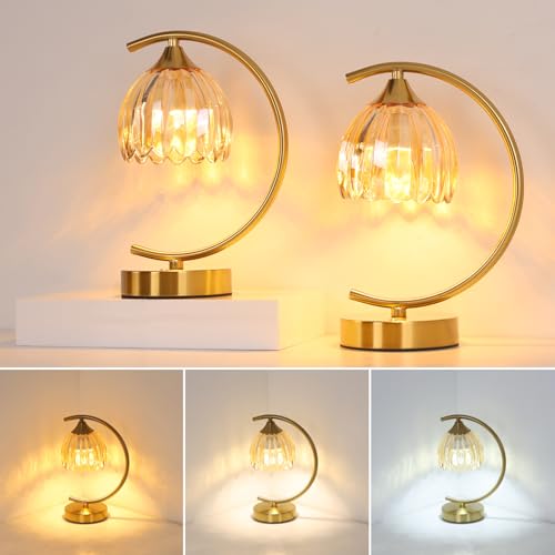 Image of Shenmoyl Set of 2 Tulip Table Lamp, 5200mAh Cordless Touch Control Table Lamp with 3 Color Temps & Stepless Dimming, Rechargeable Battery Table Lamp for Living Room, Bedroom, Shelf (Amber Tulip)