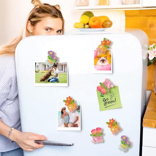 30 imanes pequeños decorativos para refrigerador miniatura 6