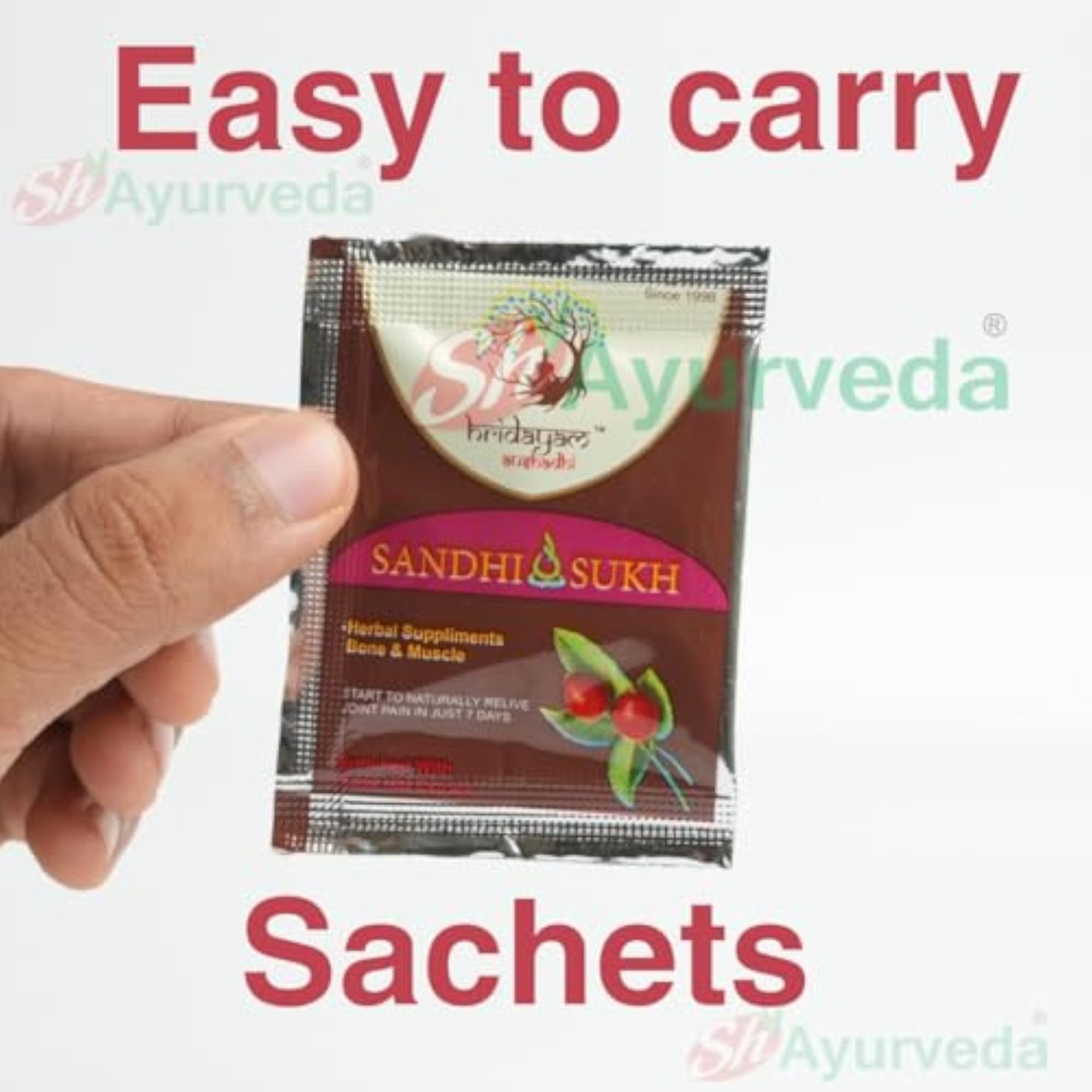 Sandhi Sukh Powder (4gm Pouch)