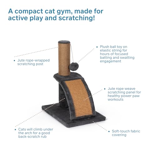 Gimnasio rascador para gatos Prevue Pet Products miniatura 3