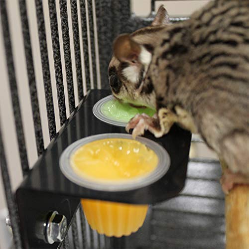 Nectar Pods (4 Pack) - Calcium Fortified Gelatin Fruit Treatment - Sugar Gliders, Marmosets, Squirrels, Parrots, Cockatiels, Parakeets, Birds, Hamsters, Day Geckos, Kinkajous