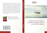 Pollution Hydrologique Urbaine Et Impacts: Bassin Versant de La Mgoua 3841742335 Book Cover