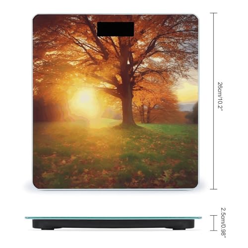 Báscula digital para baño con vidrio templado y pantalla LCD miniatura 2