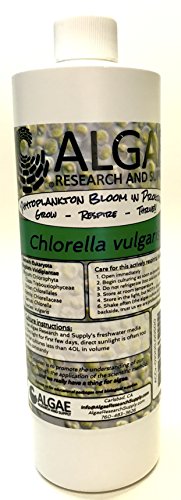 Algae Research Supply Algae Culture Chlorella Vulgaris, Perfect for School Science Fairs/Projects, Experiments & Classrooms (500ml)