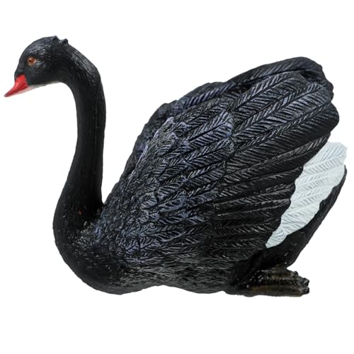 OUNONA t@[Xf vX`bN̒̑  tBMA Op u ʐ^Bep qCeA