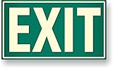 Photoluminescent Aluminum Exit Sign (GREEN)