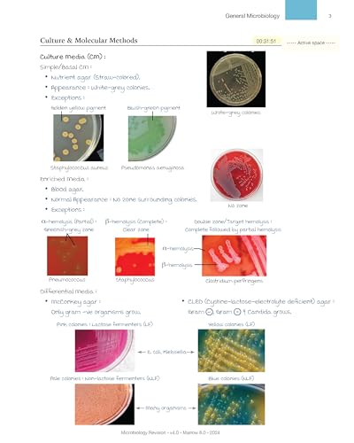 Image of MARROW REVICION NOTES (Rapid) ALL - 19 SUBJECT & FULLY COLOR WITH SPIRAL BINDING 2023-24, 1 JANUARY 2024