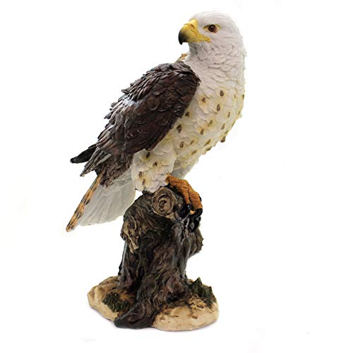 Pacific Giftware Wildlife Red Tailed Hawk Eagle Birds of Prey Figurine Statue 10 Inch