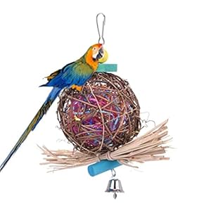 Sraeriot Vogel Kauwen Speelgoed Swing Rotan Bal Opknoping Ornament Voor Papegaai Huisdier Vogel Budgies Parkiet Parkiet…
