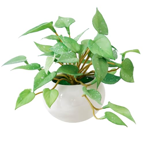 WillingYou フェイクグリーン 卓上 人工観葉植物 フェイクグリーン 1点セット 光しょくばい観葉植物 水生植物フェイク 小さい 卓上 光触媒 観葉植物 ミニ 鉢 アンスリウムの葉