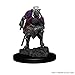 D&D Nolzur's Marvelous Miniatures: Drow