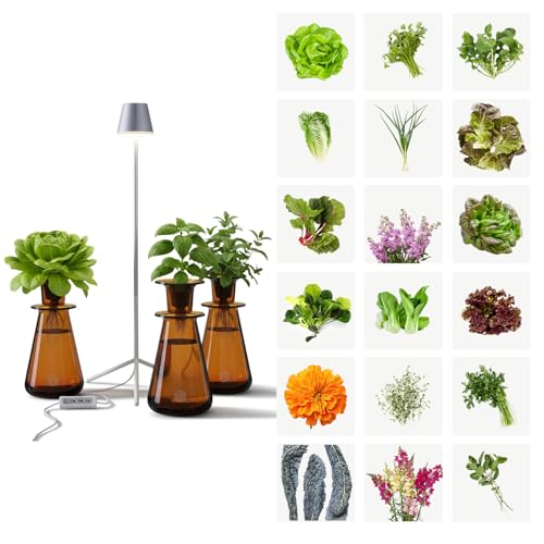 Lettuce Grow Counterstand Hydroponics Growing System Kit with LED Light Indoor Gardening System for Herbs and Greens Compact Hydroponic Countertop Planter Set