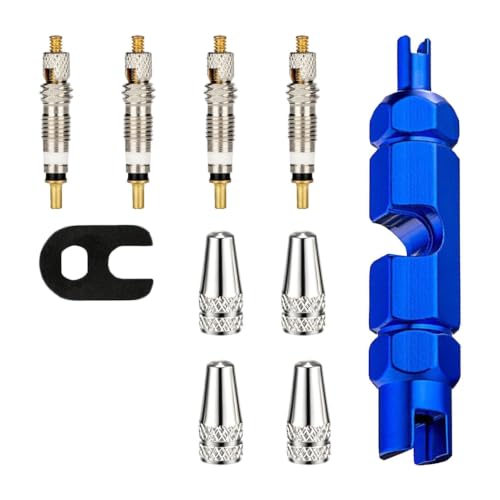 [10 UDS] Kit de Reparación de Valvulas para Bicicleta, Núcleo de Válvula de Bicicleta con 2 Llaves Obus Presta, Adaptadores de Válvula Presta Tubeless MTB para Repuesto Reparación de Bicicletas