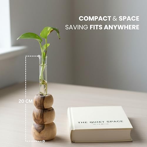 Image of Wooden Test Tube Planter Vase with Wooden Stand | Glass Tube for Indoor Plants, Cuttings & Hydroponics | Minimalist Bud Vase | Modern Flower Stand | Unique Home Office Decor Gift.(3 Steps Designe)