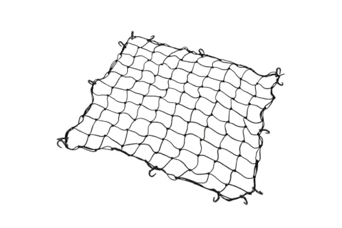 �V���E���K���[�W A-x(�G�[�N���X) �J�[�S�l�b�g M�T�C�Y 100cm×100cm