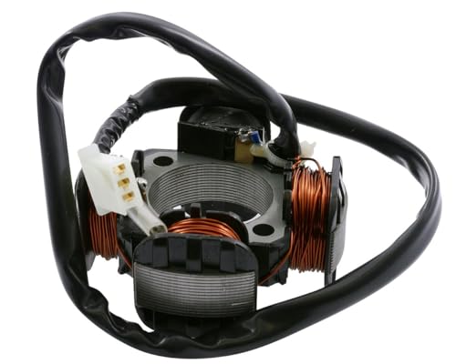 2EXTREME Stator Morini AT Tondeuse 79 mm (modèle ancien) compatible pour Benelli K2 50 LC, Naked 50, Pepe 50, Derbi Vamos 50