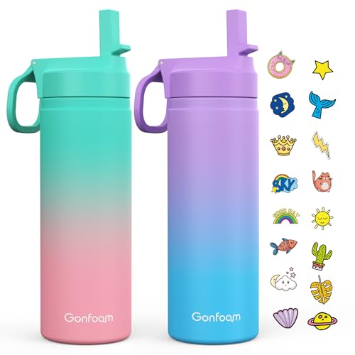 , 2-pack 20oz Water Bottles With Stickers And Straw, Stainle
