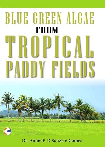 Blue Green Algae from Tropical Paddy Fields