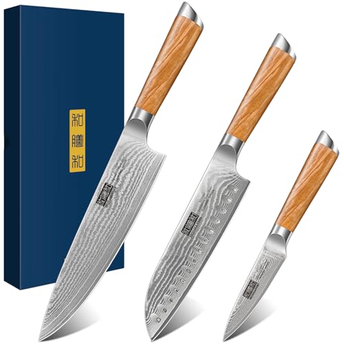 Comparison: Best Damascus Chef Knife Set 9 HOSHANHO Damascus Kitchen Knife Set 3-Piece, Ultra Sharp 8" Chef Knife, 7" Santoku Knife, 3.75" Paring Knife, Professional VG-10 Damascus Super Steel Chef Knife Set with Ergonomic Handle