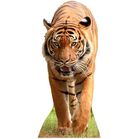 Tiger - Wildlife/Animal Lifesize Cardboard Cutout / Standee / Standup Cover