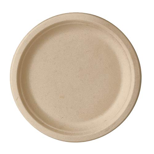 PAPSTAR 500 Teller, Zuckerrohr Pure ungeteilt Ø 23 cm · 2 cm Natur