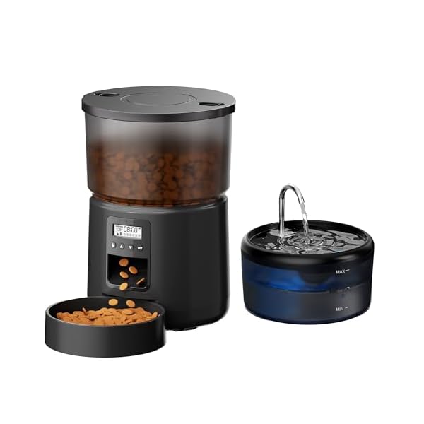 Futterautomat Katze Katzenfutter Automat und Katzenbrunnen: Futterspender Hunde mit Programmierbarem Timer 6 Mahlzeiten pro Tag – 3L Futterspender und 2.4L Trinkbrunnen für Kleine/Mittlere Haustiere