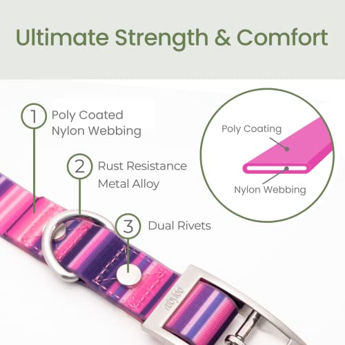 Rubyloo Waterproof Dog Collar thumb #3