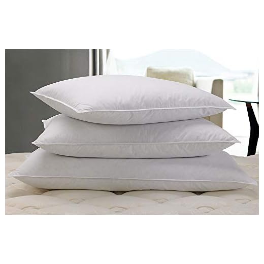 Courtyard by Marriott Feather & Down Pillow - Soft, Dual Chamber Feather and Down Pillow Exclusively for Courtyard - King (20" x 36")