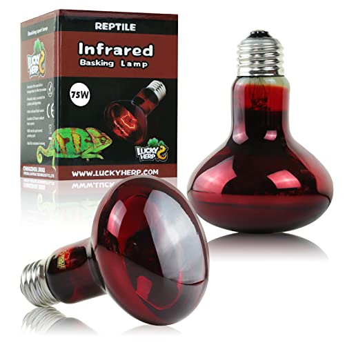 Go to store page for "Infrared Heating Bulb".