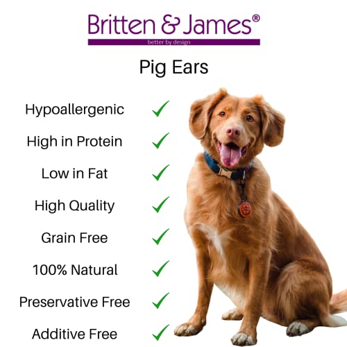 8 Large Pigs Ears for Dogs (Refill Bag). Natural Premium Quality British Product by Britten and James, Brown, 57.5 g (Pack of 8) - Image 4