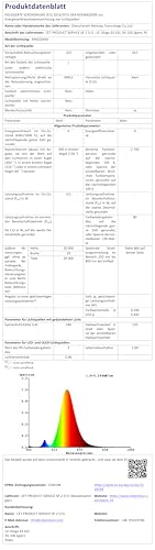 Ollny LED Lichterkette außen 20m 200LED, Lichterketten Strombetrieben mit Fernbedienung und Timer, 8 Modi IP44 Wasserdicht Warmweiß für aussen und innen Garten Hochzeit Party