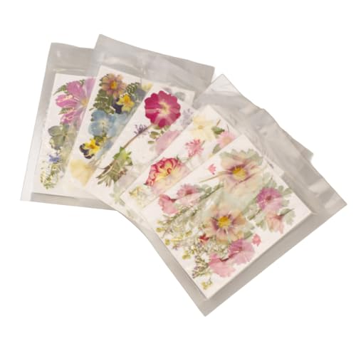 Kit de Flores Prensadas Aramox, Colección Vibrante Secas miniatura 4