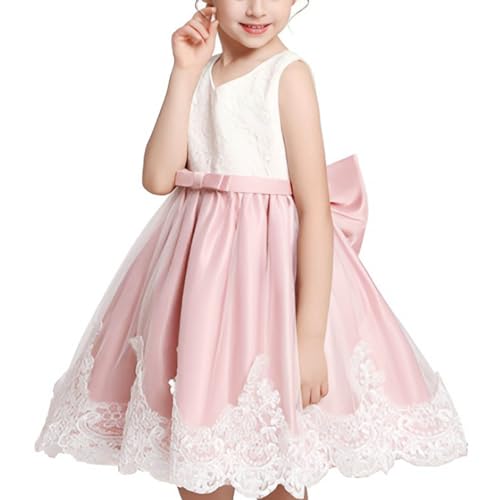 Toddler Girls Lace Dresses Floral Embroidery Tulle Bow Gown Dress Sleeeveless Formal Wedding Bridesmaid Pageant