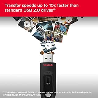 SANDISK Ultra USB Type-A Flash Drive 256GB (USB 3.0 Memory Stick up to 130MB/s transfer speeds, RescuePro Recovery Software, Password Protection, Durable) Black
