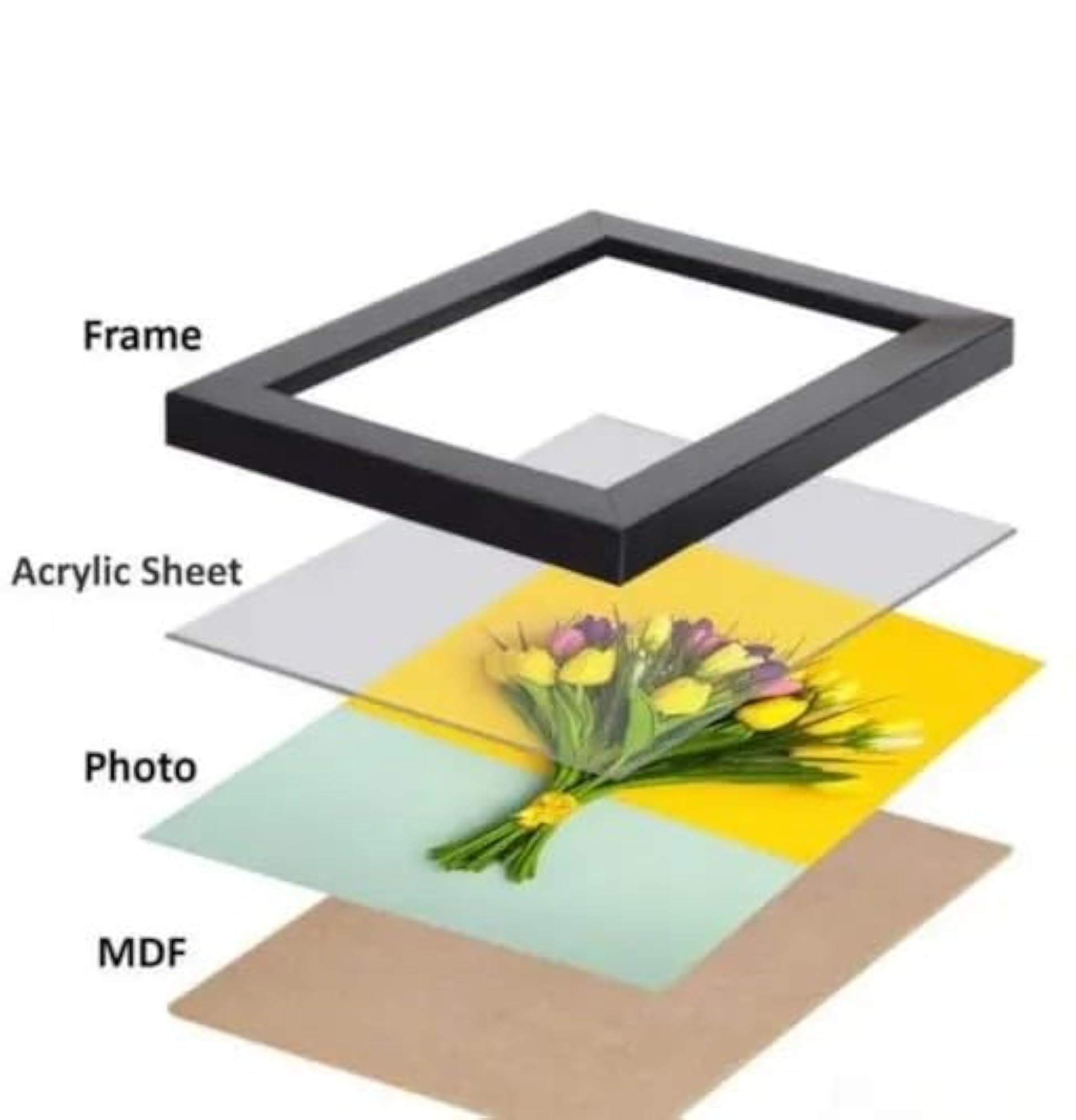 MS Dhoni Printed Photo Frame A4 Size