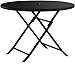 Crosley Furniture CO7205-BR Palm Harbor Outdoor Wicker Folding Table, Brown