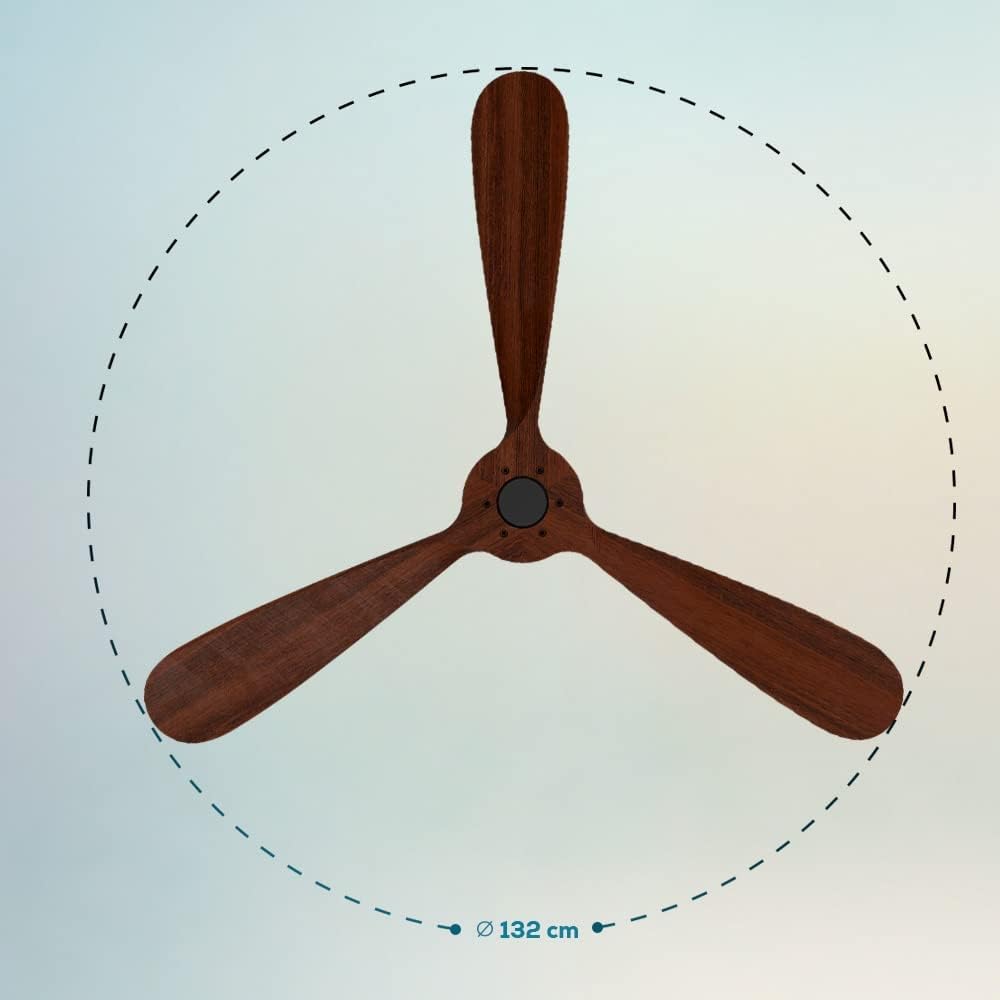 Cecotec Ventilatore da Soffitto con Telecomando e Wifi EnergySilence Aero 5500 Black Aqua Connected. 40 W, Diametro 52”, 3 Pale, Protezione IP44, Modalità inverno-estate, Timer