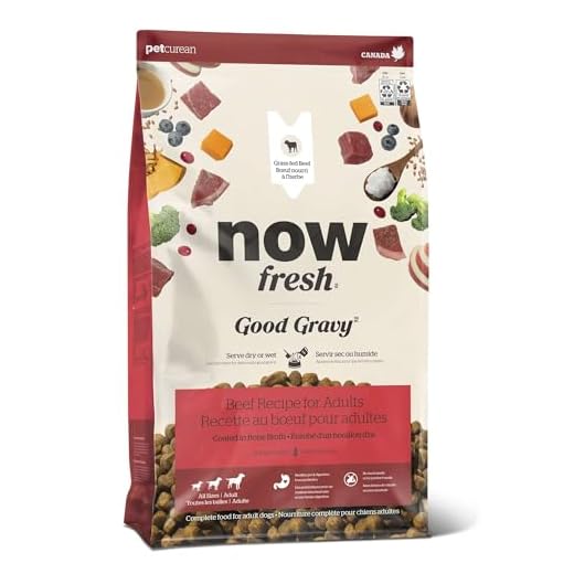 Now Fresh Good Gravy Adult Dry Dog Food, Grass-Fed Beef Recipe with Ancient Grains, Bone Broth Coated Kibble, 3.5 lbs