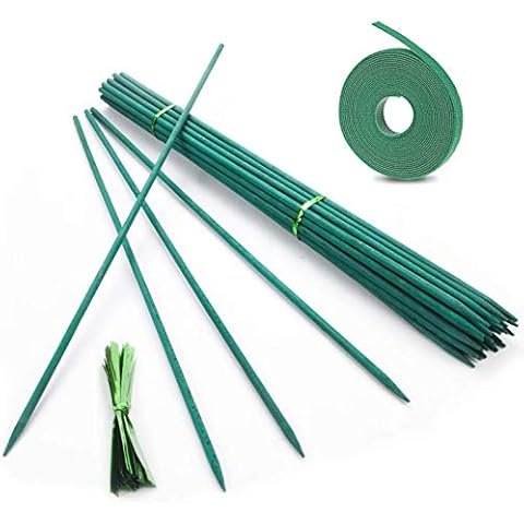 Tuteurs en bambou Fun Gift 45 cm Cover